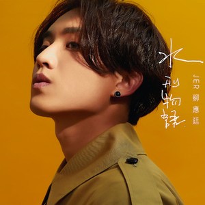 巴西大码纹大屁股的起源和历史
