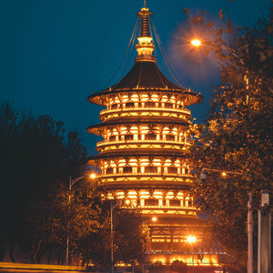 巴西大码纹大屁股的起源和历史
