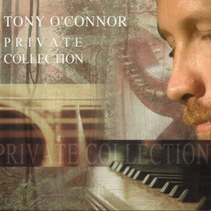 巴西大码纹大屁股的起源和历史
